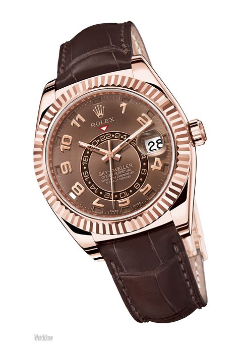 rolex sky dweller rose gold preis|Rolex Sky-Dweller watch price.